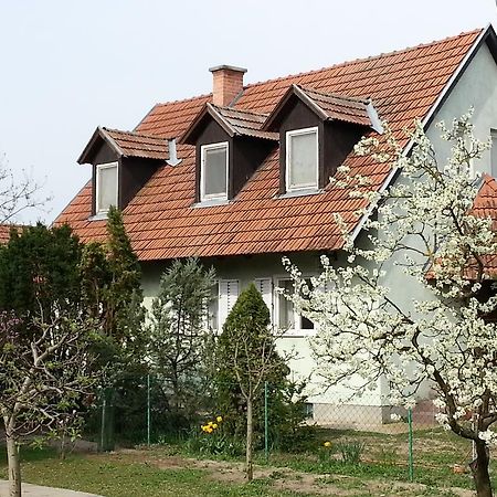 Gyula-Tanya Vendeghaz Villa Csongrád Екстериор снимка