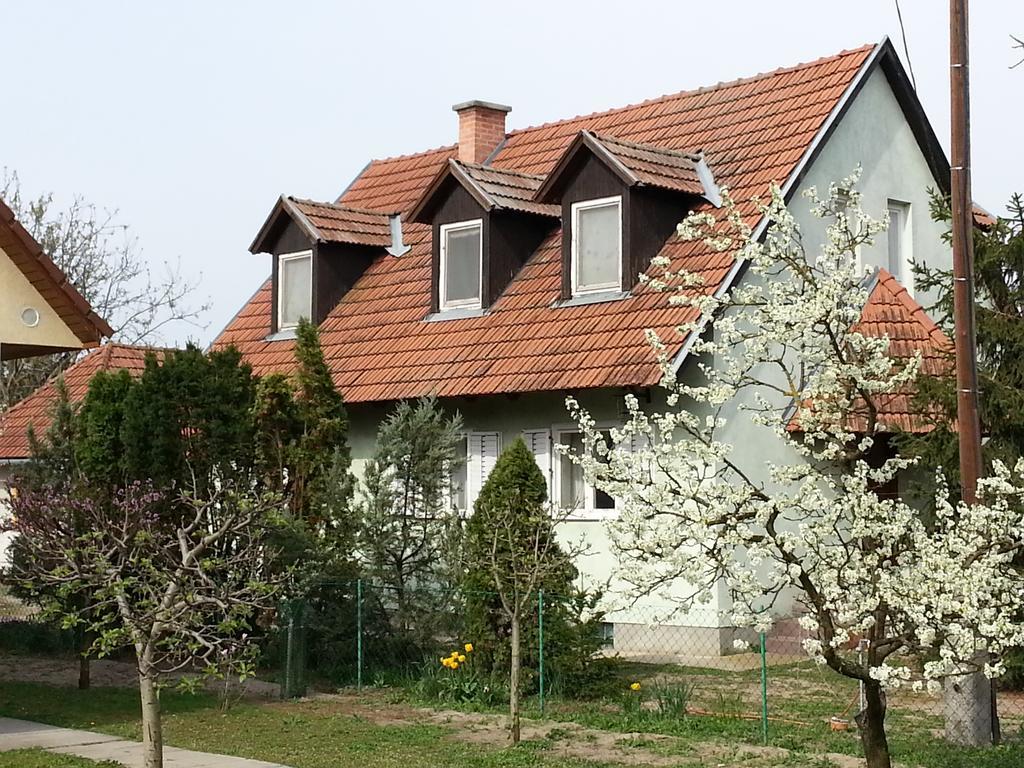 Gyula-Tanya Vendeghaz Villa Csongrád Екстериор снимка