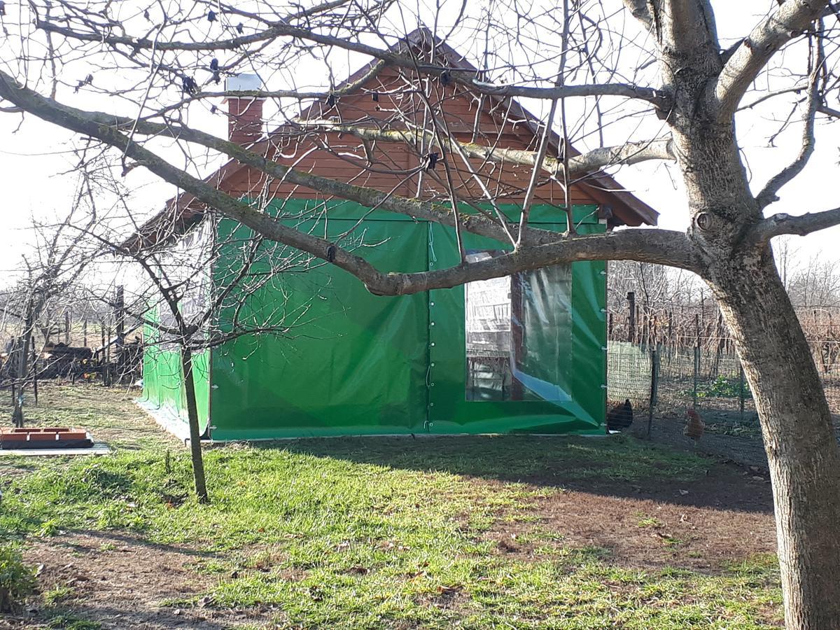 Gyula-Tanya Vendeghaz Villa Csongrád Екстериор снимка
